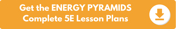 EnergyA banner which reads "Get the ENERGY PYRAMIDS Complete 5E Lesson Plans". 