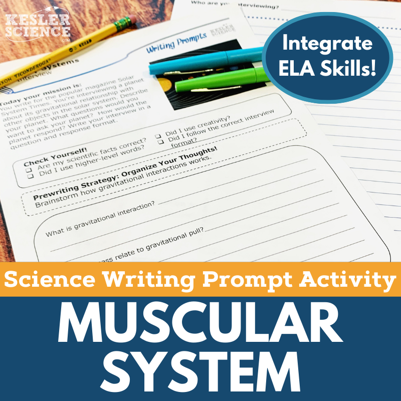 Muscular System Cover-1