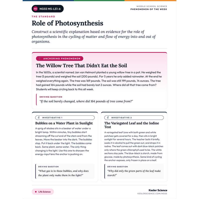 Phenomenon-of-the-Week for MS-LS1-6 cover
