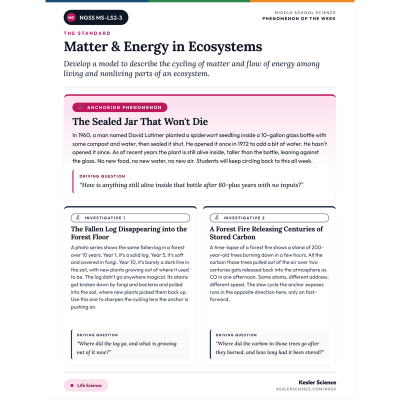 Phenomenon-of-the-Week for MS-LS2-3 cover