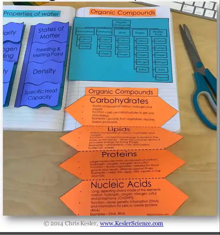 Organic Compounds Lesson Plan – A Complete 5E Method Science Unit