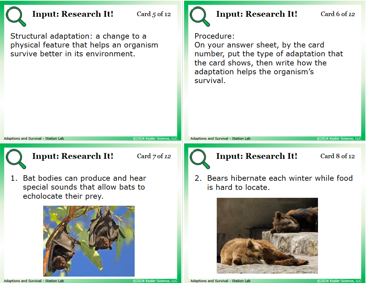 Inside the Adaptations for Survival Station Lab printed download — 8th grade life science, TEKS 8.13C