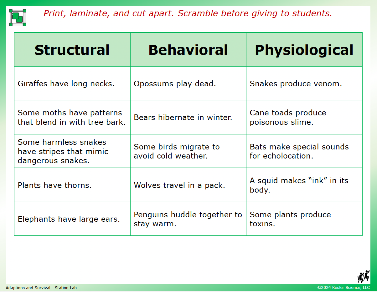 Adaptations for Survival Station Lab hands-on activity for TEKS 8.13C — 8th grade life science