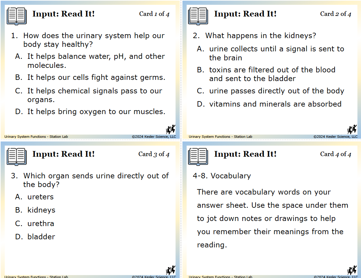 Urinary System Station Lab hands-on activity for TEKS 7.13A — 7th grade life science