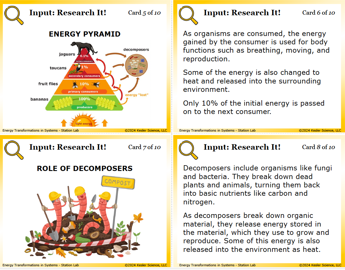 Energy Transformations Station Lab hands-on activity for TEKS 6.8B — 6th grade physical science