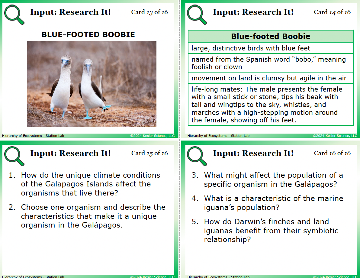Hierarchy of Organisms Activity: 8 Hands-On Stations (TEKS 7.13B ...