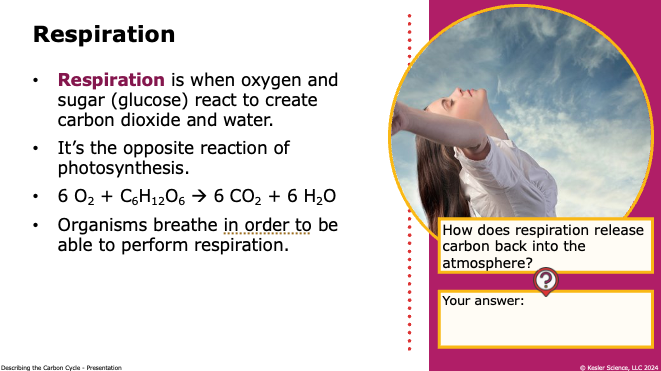 respiration equation showing oxygen and glucose reacting to release carbon dioxide and water