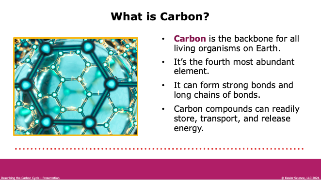 what is carbon as the backbone for all living organisms and fourth most abundant element