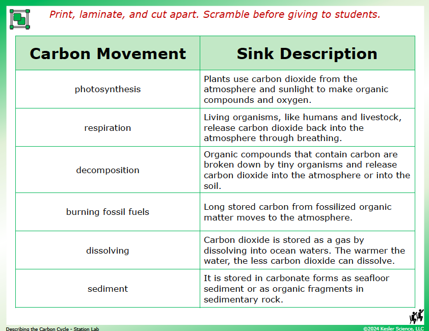 Output station card from the describing the carbon cycle Station Lab