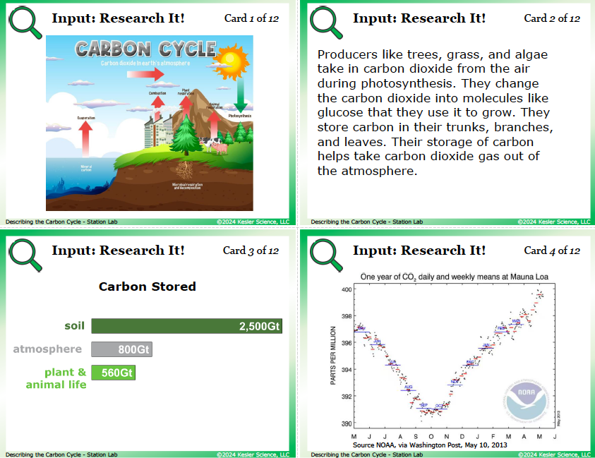 Input station card from the describing the carbon cycle Station Lab