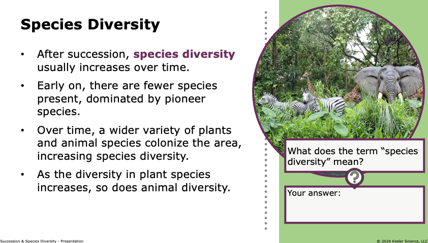 species diversity increases over time as succession progresses through pioneer species