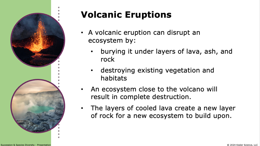 how volcanic eruptions disrupt ecosystems and create conditions for new succession