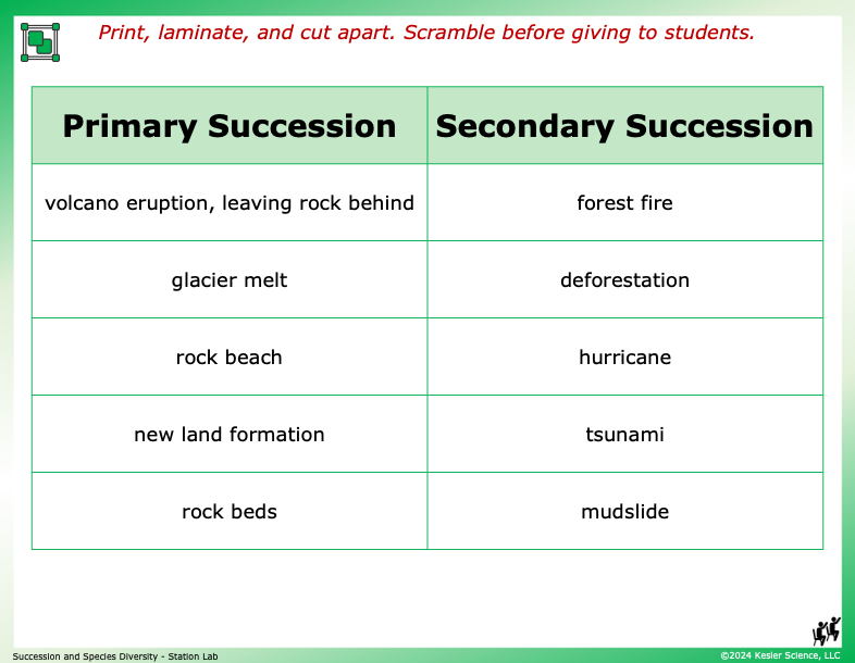 Output station card from the succession and species diversity Station Lab