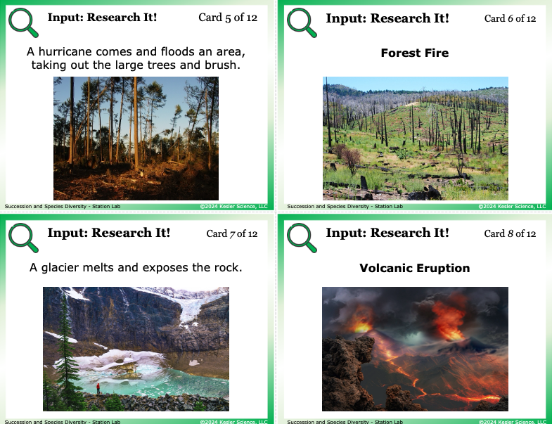 Input station card from the succession and species diversity Station Lab