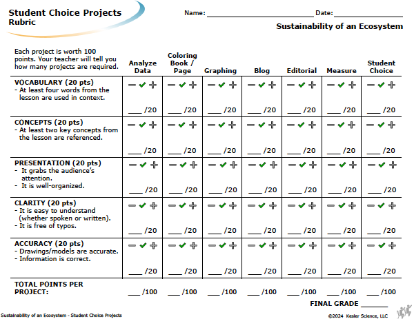 Student choice project options and rubric for the sustainability of an ecosystem lesson