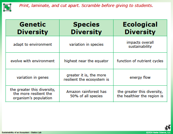 Output station card from the sustainability of an ecosystem Station Lab