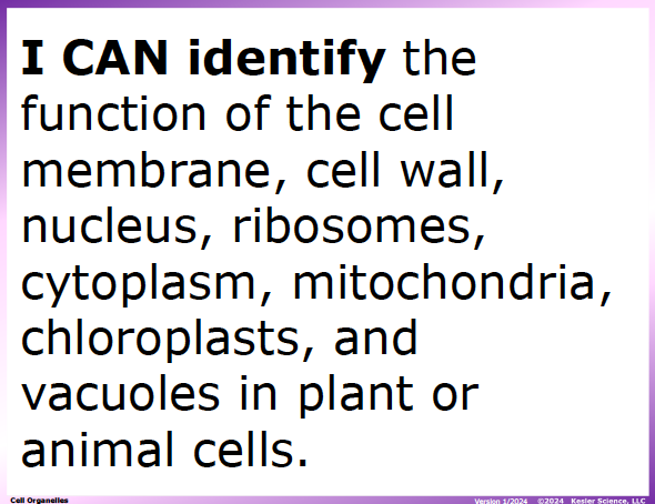 I CAN statement and key vocabulary for the cell organelles lesson