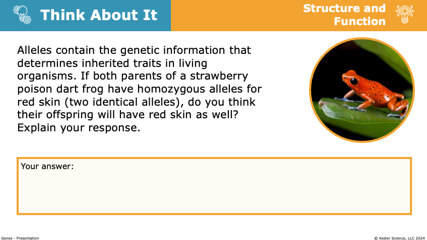 Think About It: homozygous alleles and red skin trait in strawberry poison dart frog offspring