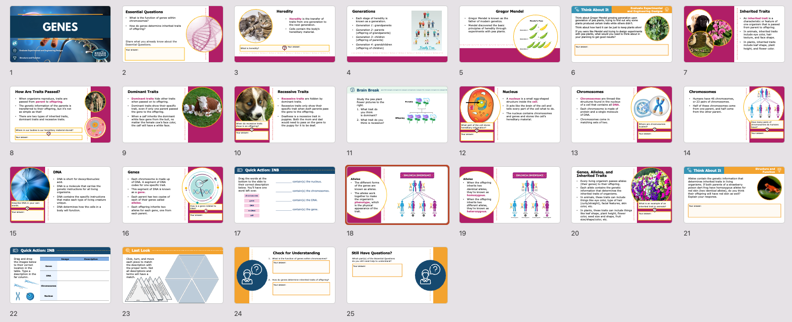 overview of Genes lesson slides covering DNA, alleles, and biological inheritance