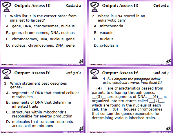 Output station card from the genes Station Lab