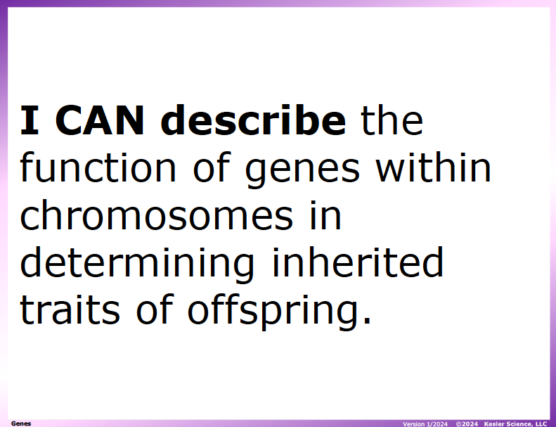 I CAN statement and key vocabulary for the genes lesson