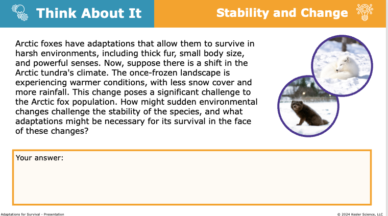 Think About It prompt on how arctic fox adaptations support survival amid changing tundra conditions