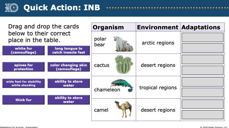 interactive notebook drag-and-drop activity matching organisms to environments and their adaptations