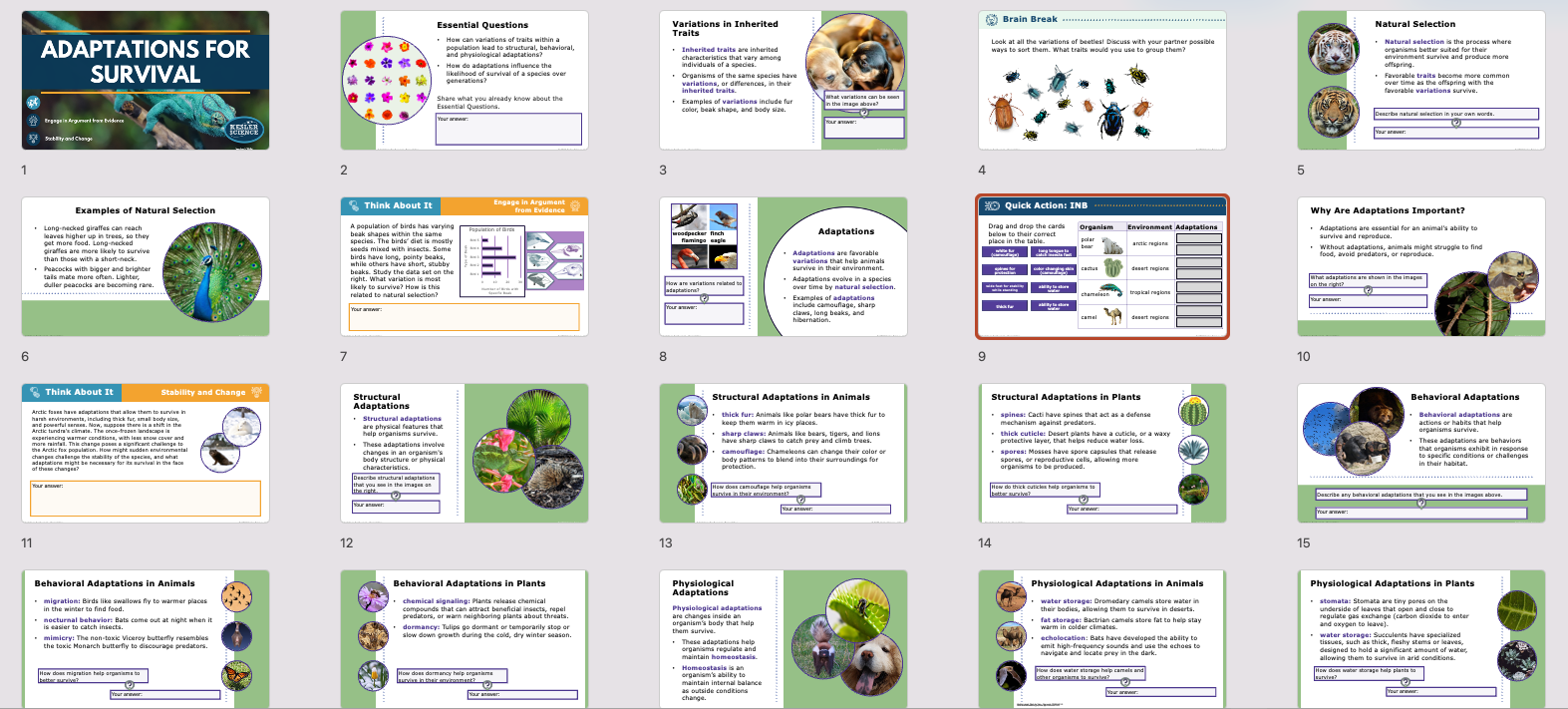 overview of adaptations for survival lesson including natural selection and structural, behavioral, and physiological adaptations