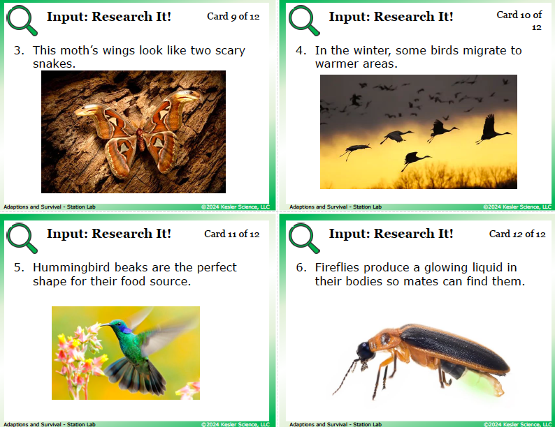 Input station card from the adaptations for survival Station Lab