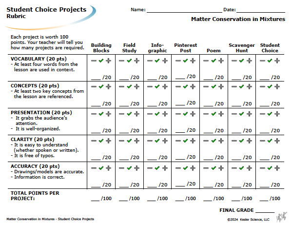 Student choice project options and rubric for the matter conservation in mixtures lesson