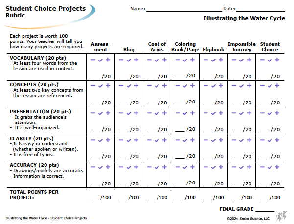 Student choice project options and rubric for the water cycle lesson