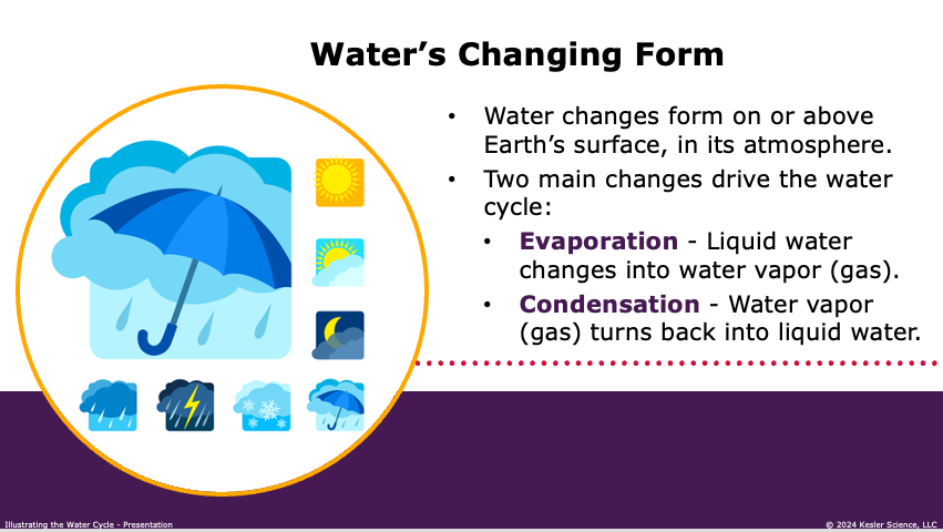 evaporation and condensation as the two main changes driving the water cycle
