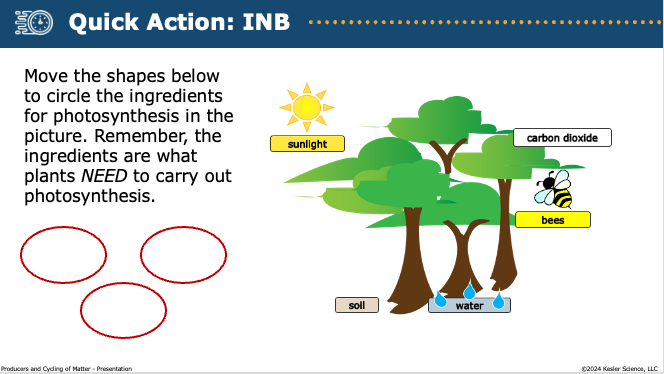 INB activity identifying ingredients for photosynthesis: sunlight, carbon dioxide, and water