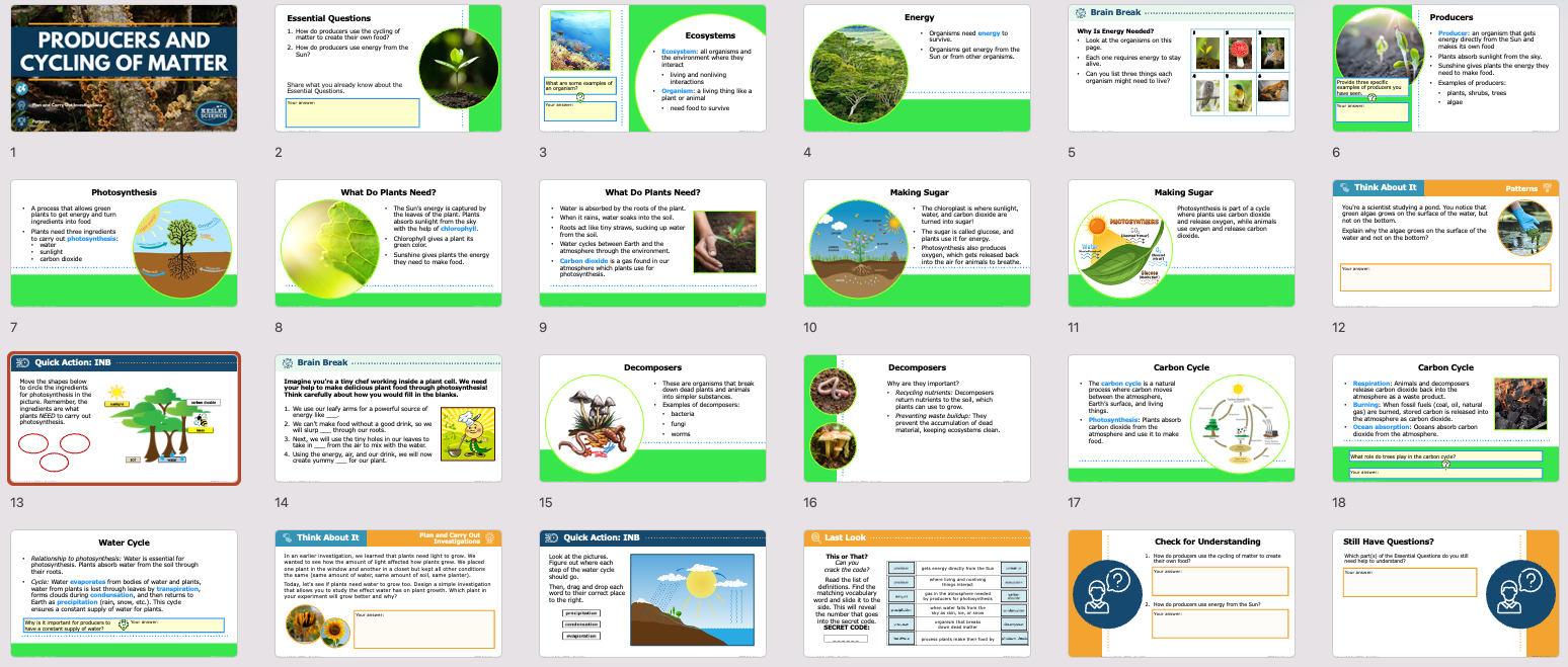 overview of producers and cycling of matter lesson slides covering photosynthesis and food chains