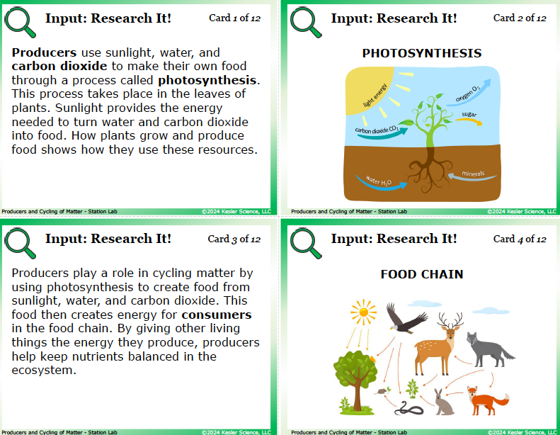 Input station card from the producers and cycling of matter Station Lab