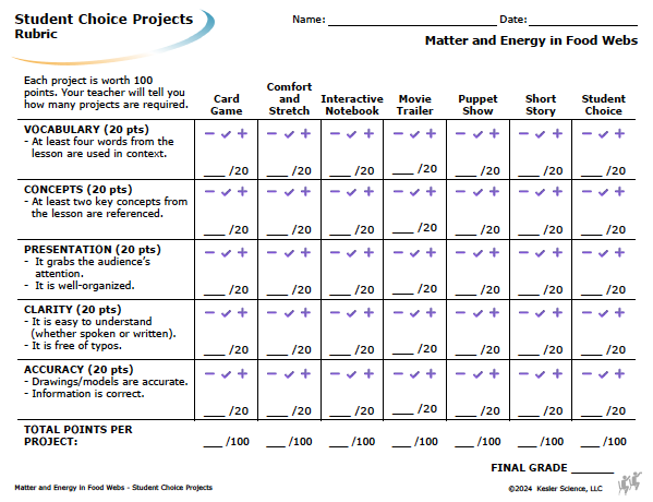Student choice project options and rubric for the matter and energy in food webs lesson