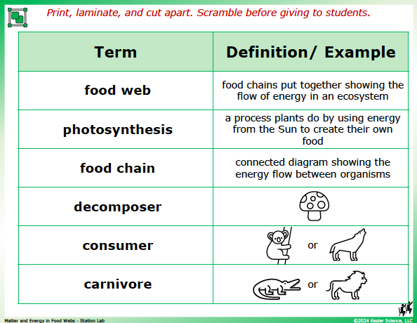 Output station card from the matter and energy in food webs Station Lab