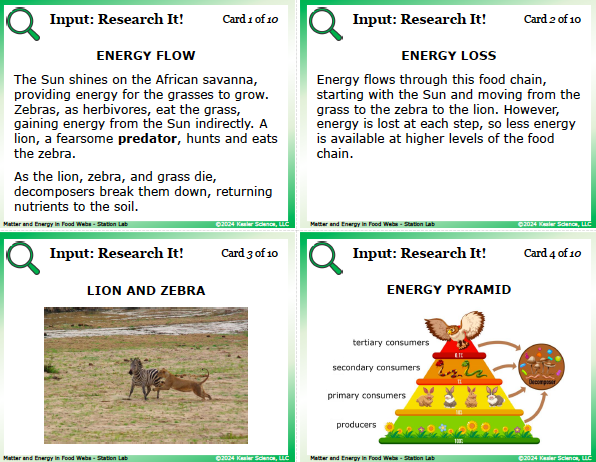 Input station card from the matter and energy in food webs Station Lab