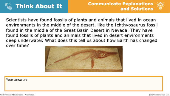 Think About It: Ichthyosaurus fossil in desert reveals how Earth has changed over time