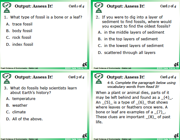 Output station card from the fossil evidence of environments Station Lab