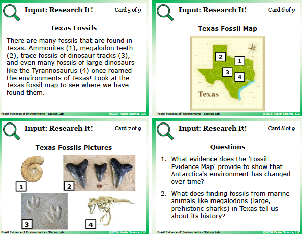 Input station card from the fossil evidence of environments Station Lab