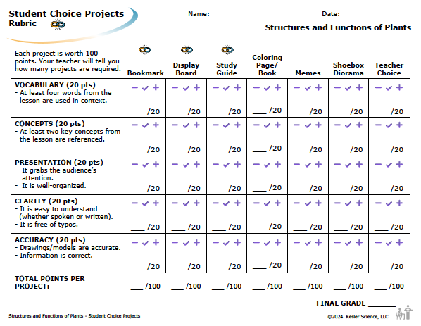Student choice project options and rubric for the plant structures and functions lesson