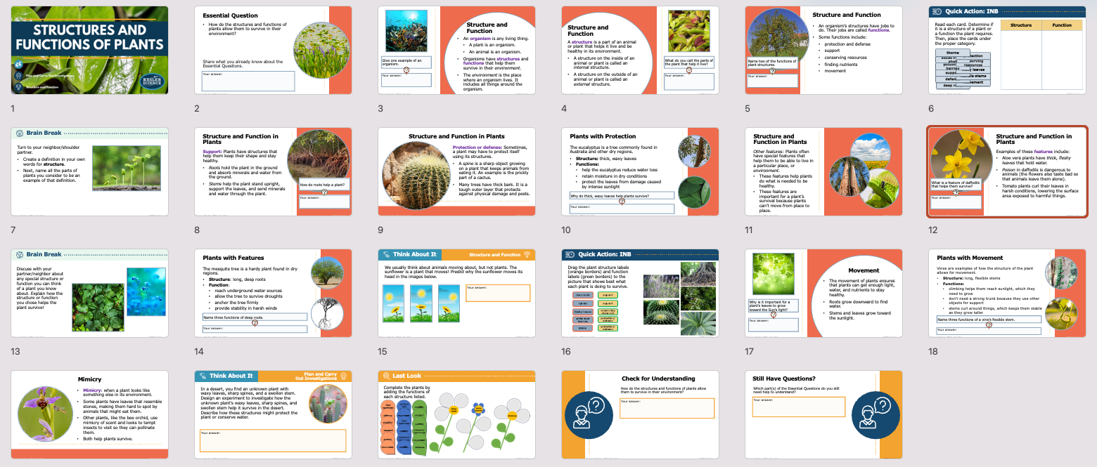 overview of structures and functions of plants lesson slides covering survival features