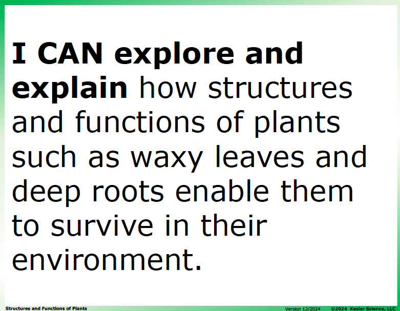 I CAN statement and key vocabulary for the plant structures and functions lesson