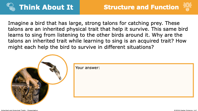 Think About It: bird talons as inherited trait vs learning to sing as acquired trait
