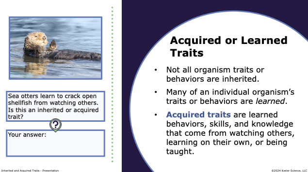 acquired or learned traits: behaviors and skills learned through watching, practice, or teaching
