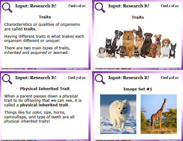 Input station card from the inherited and acquired traits Station Lab