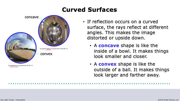 curved surfaces: concave and convex reflections distort images in different ways