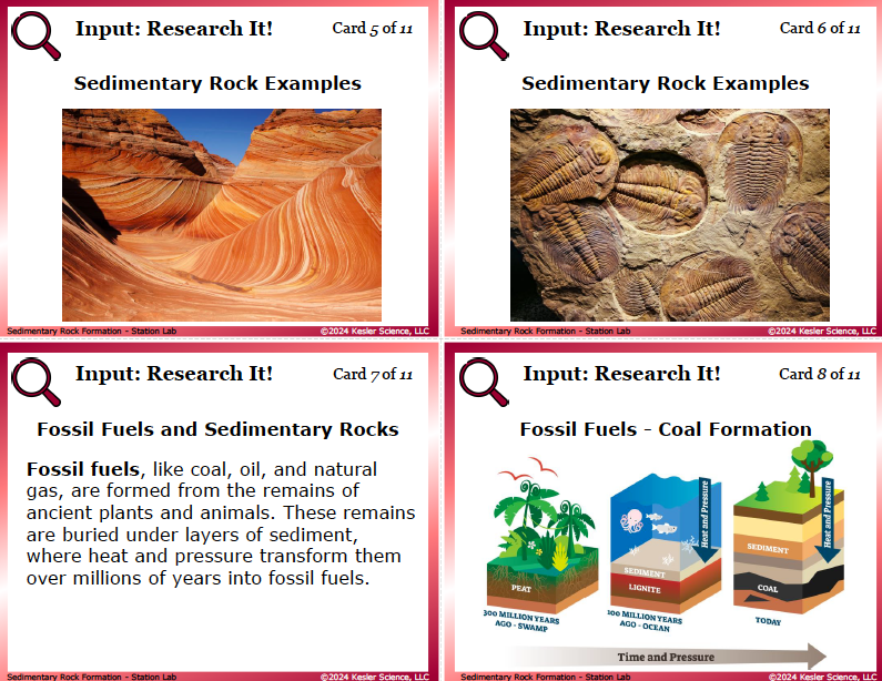 Input station card from the sedimentary rock formation Station Lab
