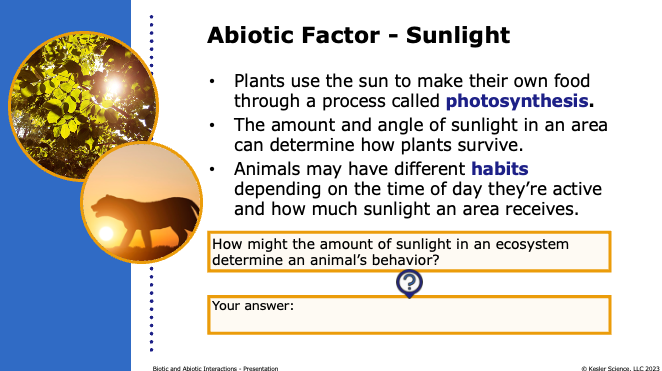 sunlight as an abiotic factor driving photosynthesis in plants and shaping animal habits